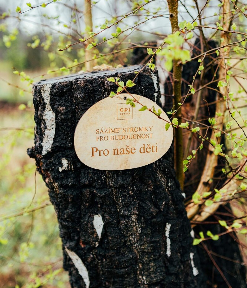 Sazeni stromů_CPI Hotels2