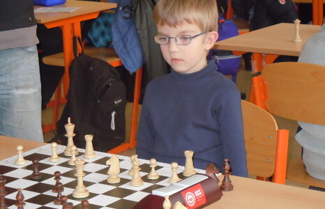CLARION ČESKÉ BUDĚJOVICE WELCOMES CHESS EXPERTS