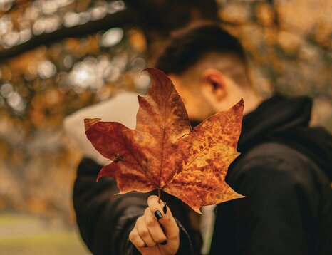 Secret Autumn Surprise – Andrássy Avenue, Budapest