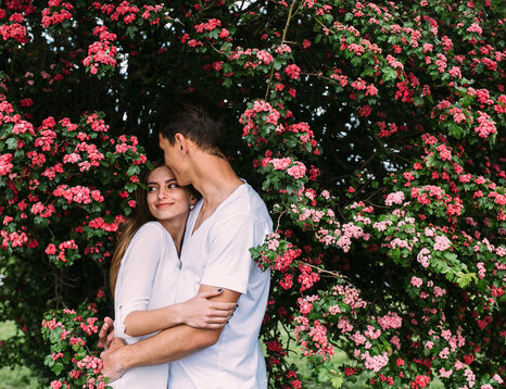 Spring Awakening in Olomouc