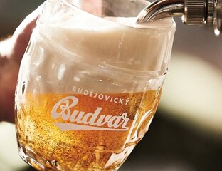 Bierdegustations-Paket - Probieren & Entspannen