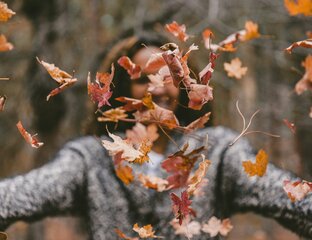 Herbstliche Entspannung & Erlebnisse in Wien
