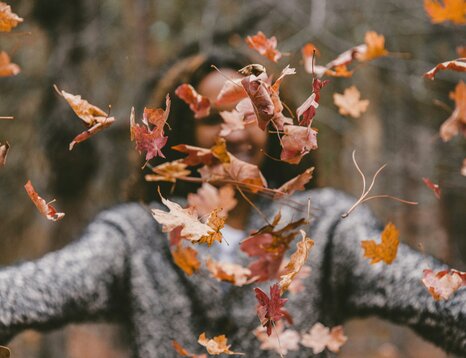 Herbstliche Entspannung & Erlebnisse in Wien